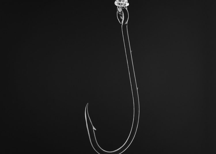 hook, fishing, fishing hook