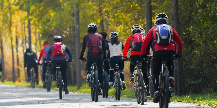 bicycle, sports, exercise