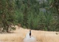 hiking, nature, mountain
