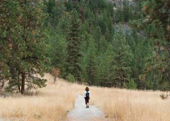 hiking, nature, mountain