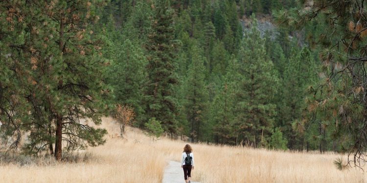hiking, nature, mountain