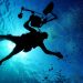 scuba diving, swimming, sea