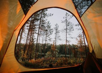 Forest View Inside a Yellow Tent