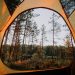 Forest View Inside a Yellow Tent